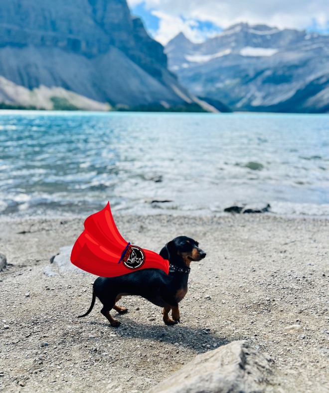 Seer Sylvie (AKA Sylvie McGee), Resident Superhero / Boss at Seer Heating & Refrigeration